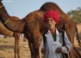 volti pushkar uomini cammelli