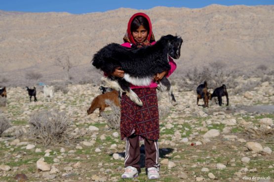 Galleria fotografica iran