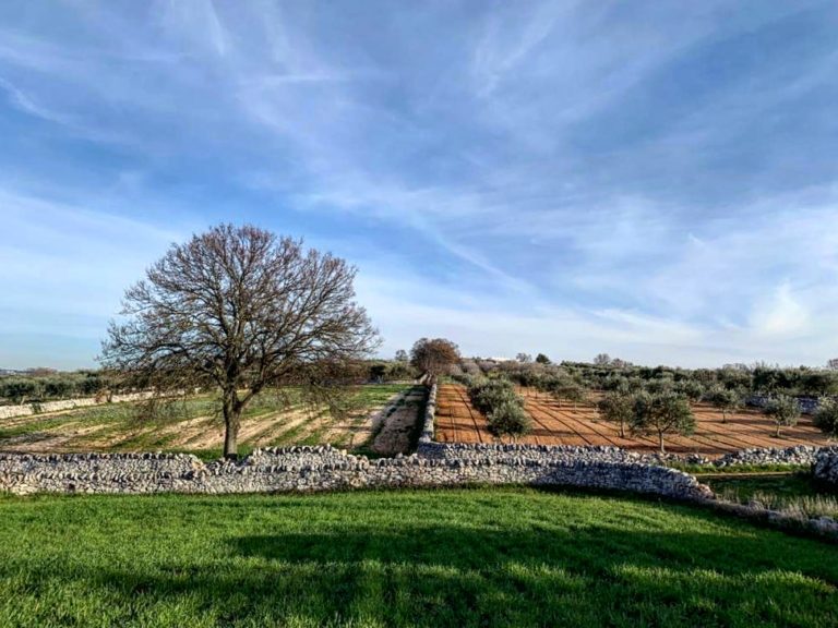 cosa vedere in valle d'itria