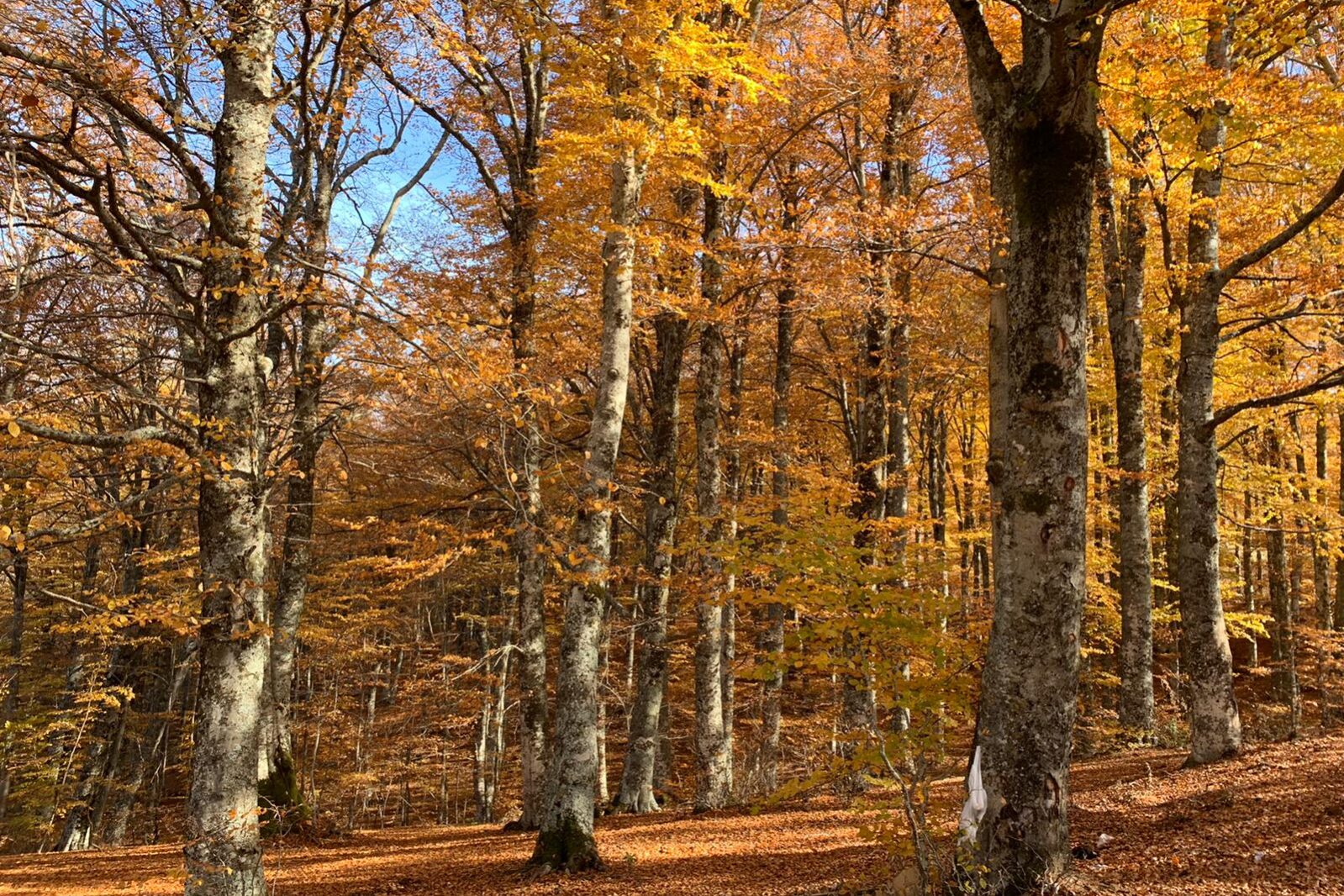 Basilicata on the road