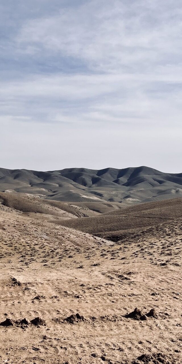 dieci giorni in Uzbekistan